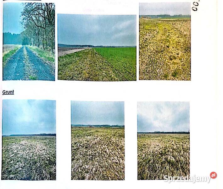 Syndyk sprzeda działki w miejscowości Karszyn 80