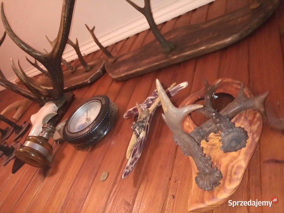 Wieszak z poroża Rękodzieło Leżajsk sprzedam