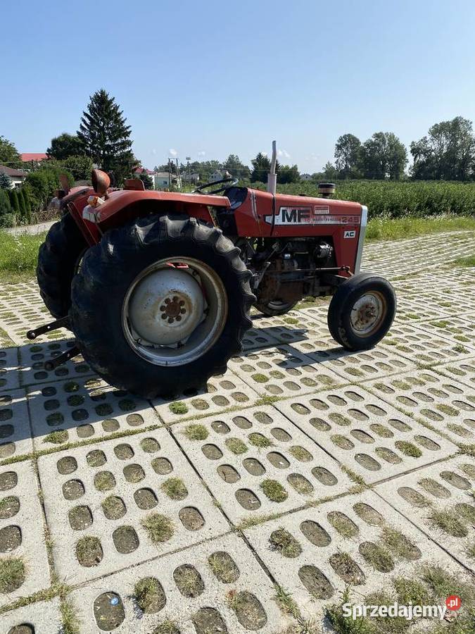 Massey Ferguson 245 3cyl 47 Massey Ferguson Kępa Chotecka