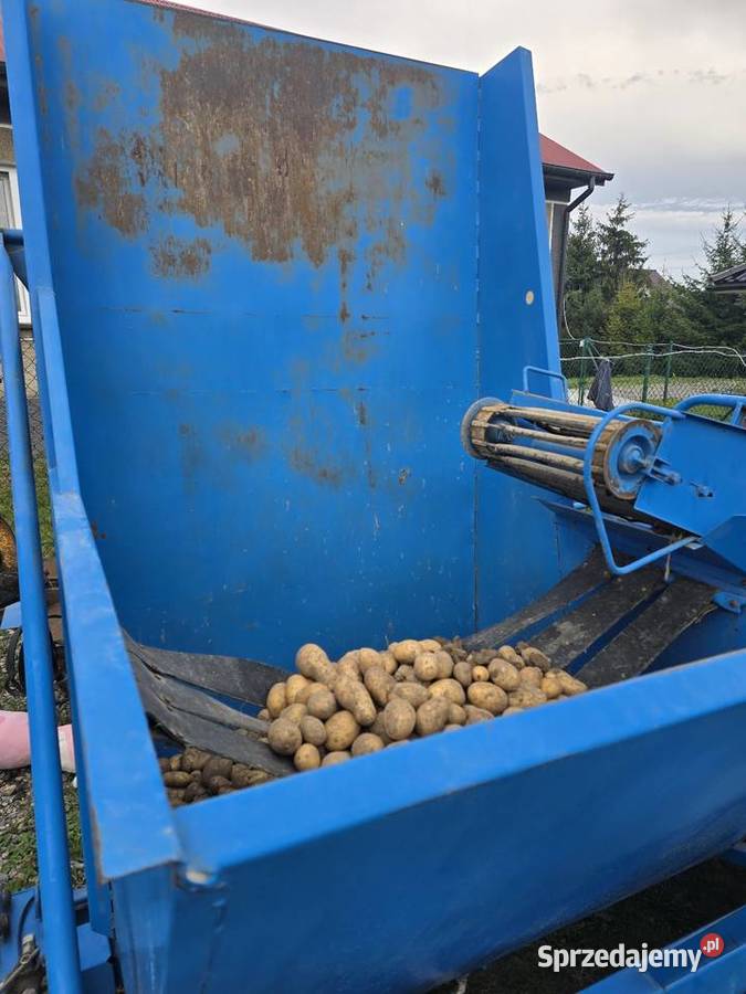 Kombajn ziemniaczany Bolko Z643 Miechów