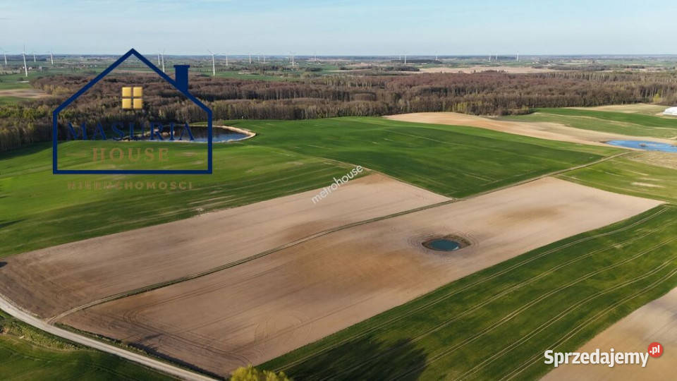 Działka rolna w Limży 1375 ha Limża