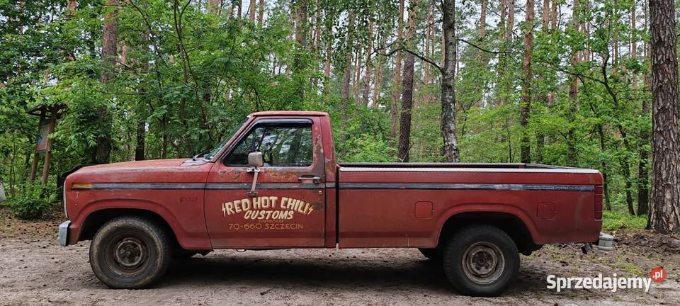Ford F150 49 w pełni sprawny pickup z patyną LPG Szczecin
