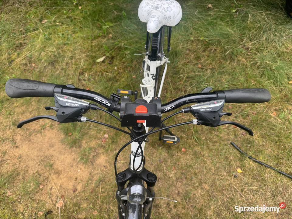 Rower Cossack Design damka Tuczno