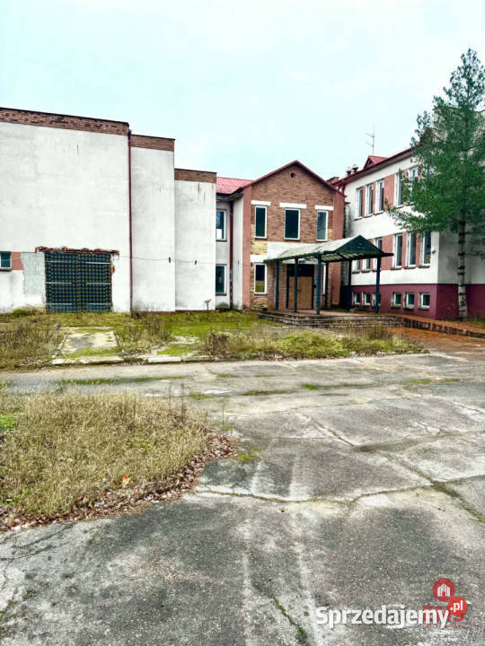 sprzedaży lokalu Chełchy 3500m2 sprzedam