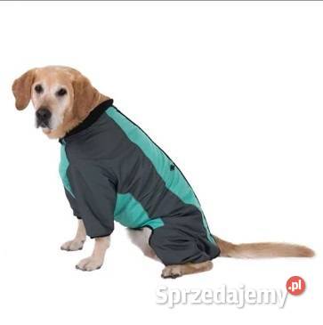 Kombinezon kurtka Psa Zooplus mint 60 kujawsko-pomorskie Toruń