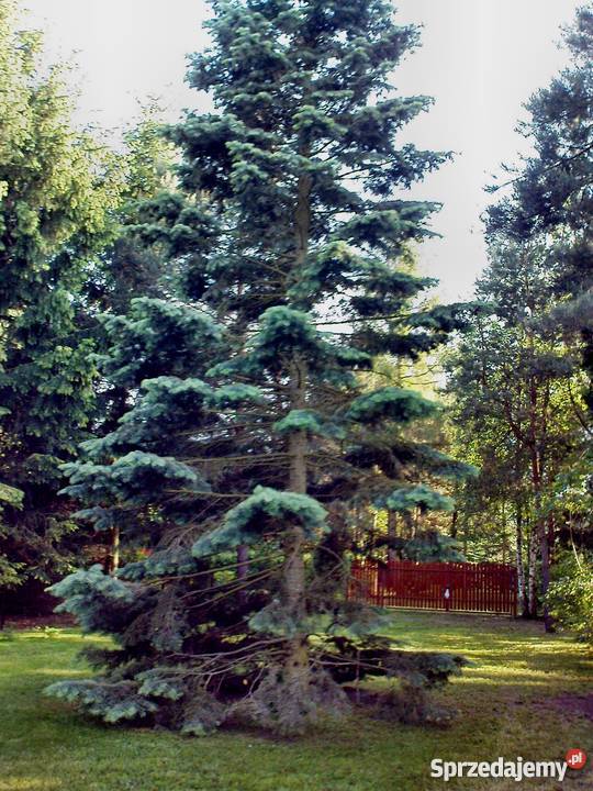 atrakcyjną działkę Bugiem z domkiem Młynarze