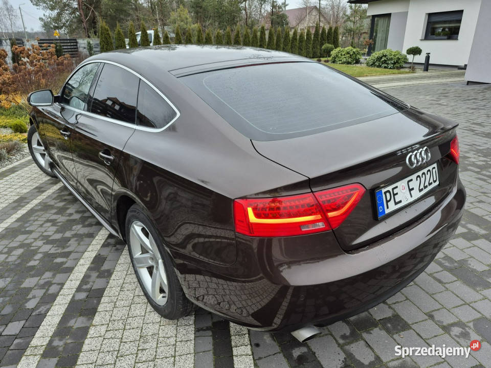 Audi A5 xenon led navi chromy ładny lift 8T klimatyzacja Motoryzacja Drelów