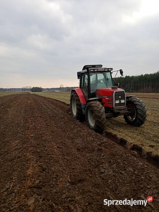 Massey Ferguson Antonielów sprzedam
