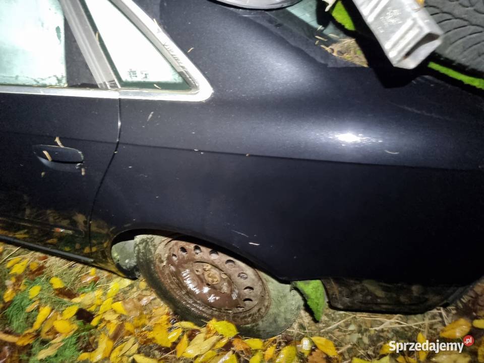 Audi A4 B7 8E0 LZ9Y Drzwi Przednie Tylne Skawina