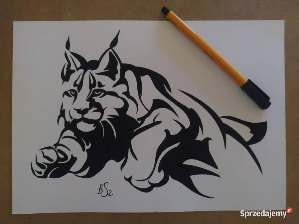 Rysunek ryś cienk blok t A4 250 gm2 Warszawa