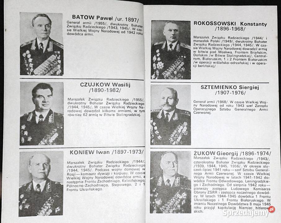 Razem do zwycięstwa 19431945 Jewgienij Chełm