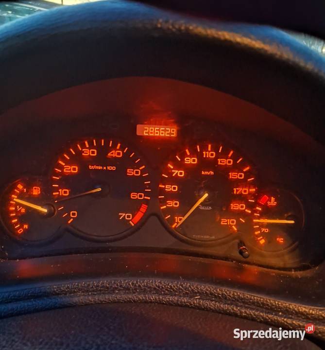 Peugot 206 Bidziny