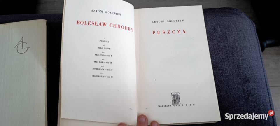 komplet 6 tomów powieści historycznej Bolesław Pozostałe Poznań