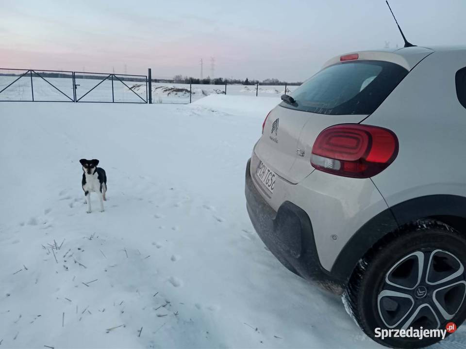 Citroen C3 1199cm3 wielkopolskie Margonin