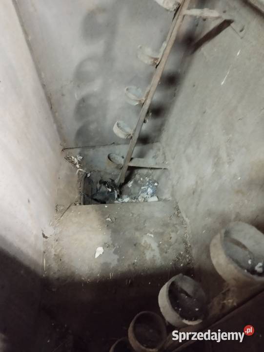 Sadzarka radła do ziemniaków kartofli Ostrów Wielkopolski