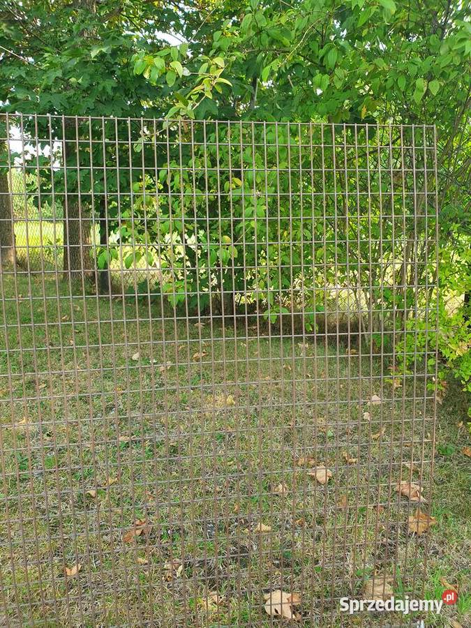 mata zgrzewana oczko 40x20mm z drutu 3mm wymiar Kielce