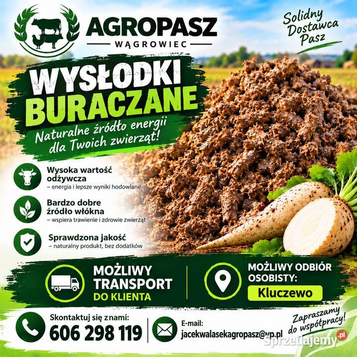 WYSŁODKI BURACZANE