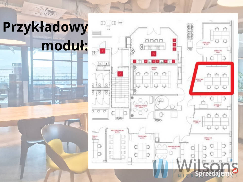 wynajmu lokalu Warszawa Domaniewska 60m2