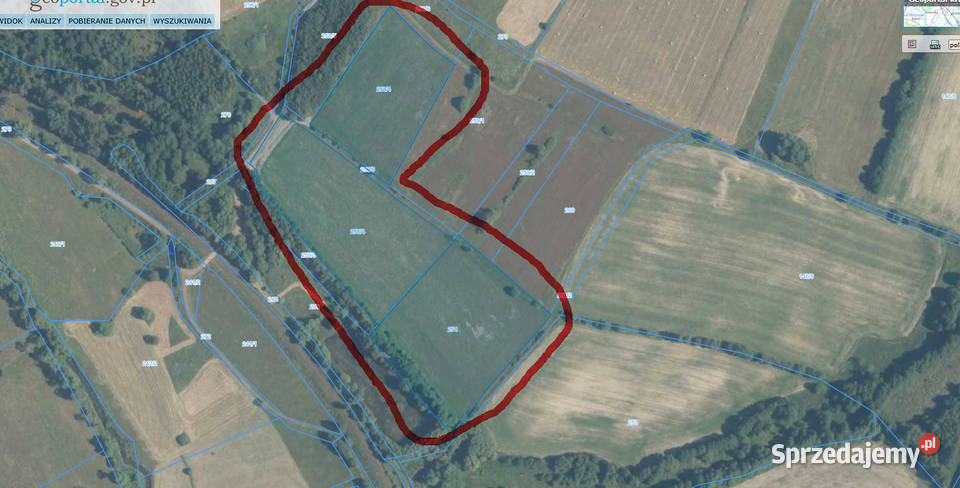 Działki rolne pod lasem Błażkowa S3 34100m2