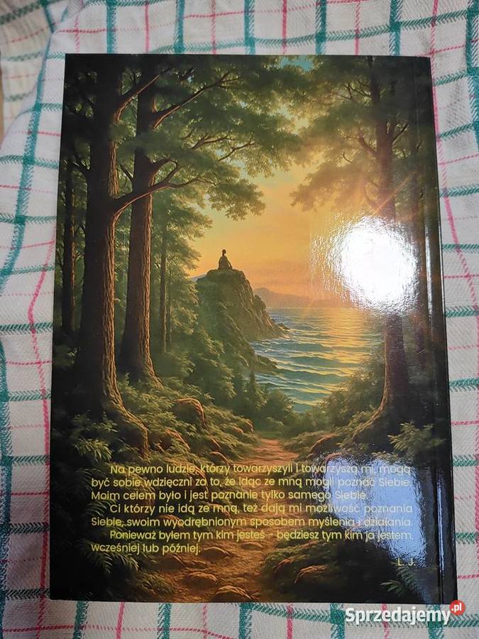 Immanentny Transcendencjonalista Czernica sprzedam