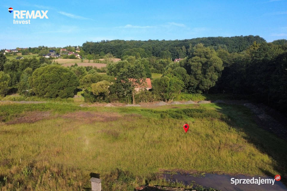 Działka pod lasem 2438 m Międzyrzecze Górne śląskie