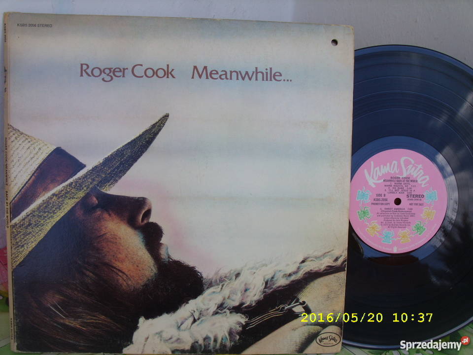 ROGER COOCMEANWHILE BACK USA Wołów sprzedam