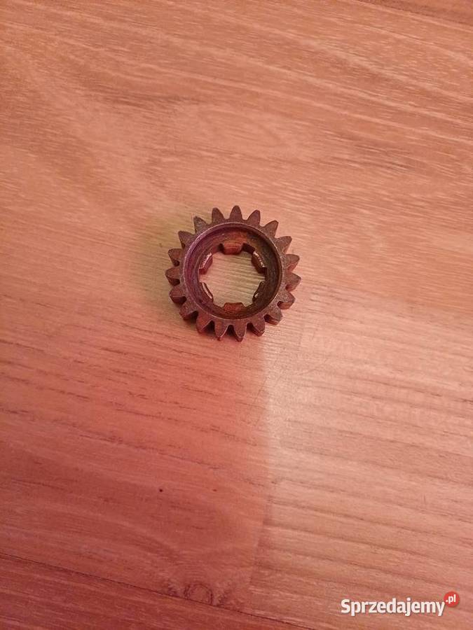 Koło zębate 19z shl m11 dolnośląskie Świdnica Polska