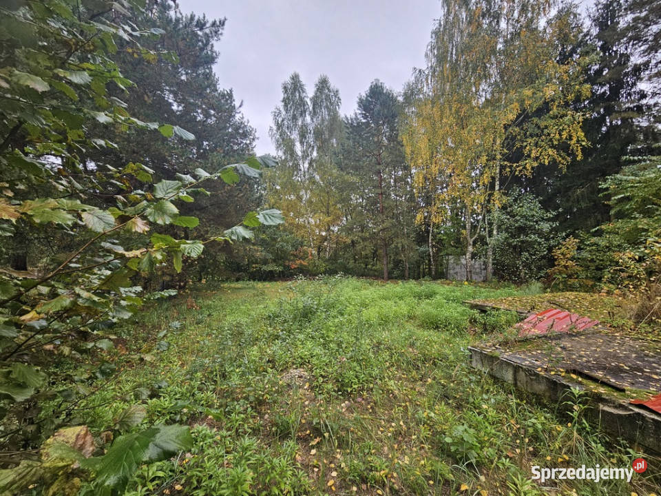 Działka Rogóźno 9 ar media Jezioro Rogóźno