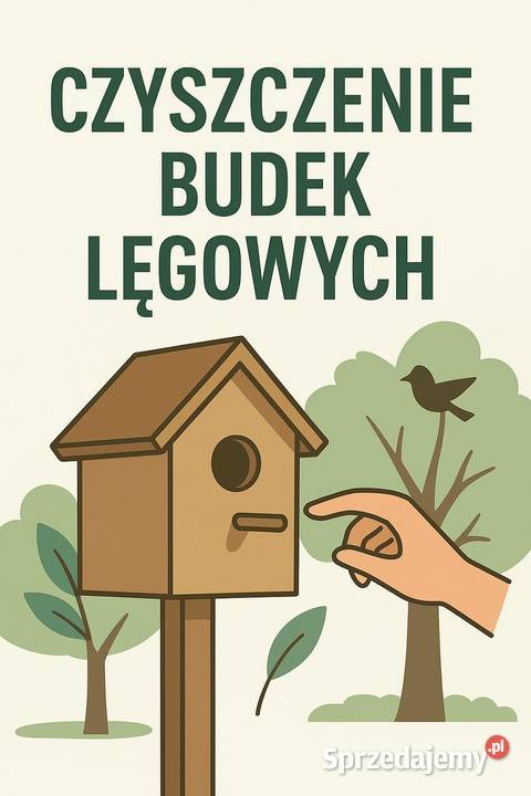 Profesjonalne czyszczenie i montaż budek Warszawa