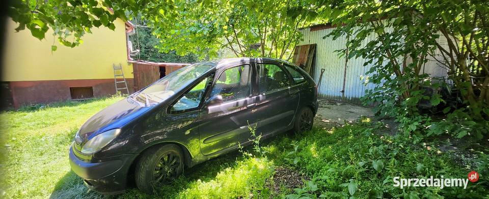Sprzeda citroena sprzedam