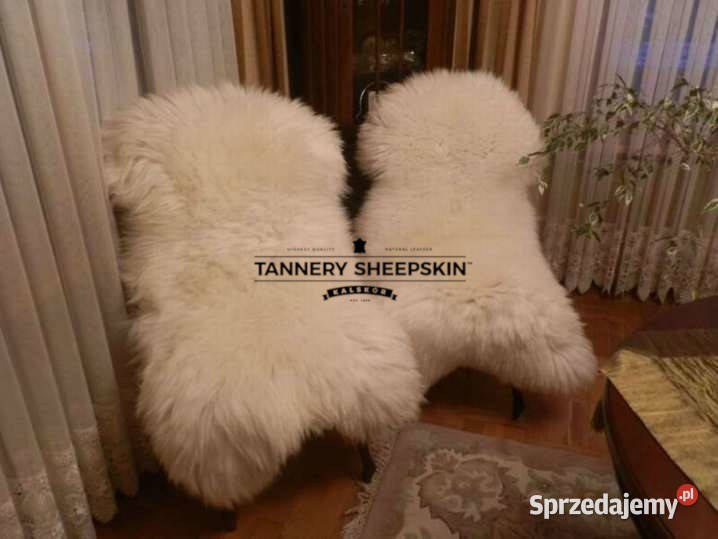 SKÓRA OWCZASKÓRY OWCZE XXXXL GIGANT NAJWIĘKSZE Skóry małopolskie Szaflary