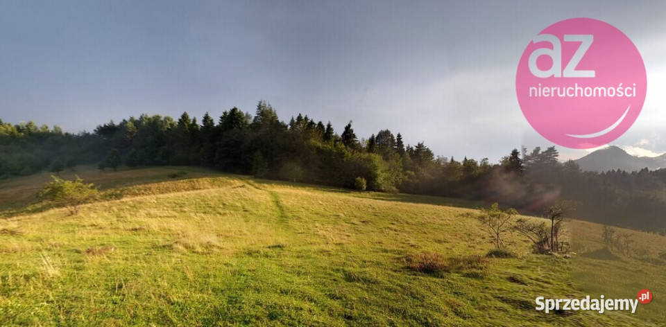 Malownicze 2 działki rolne w Szczawnicy małopolskie Szczawnica sprzedam