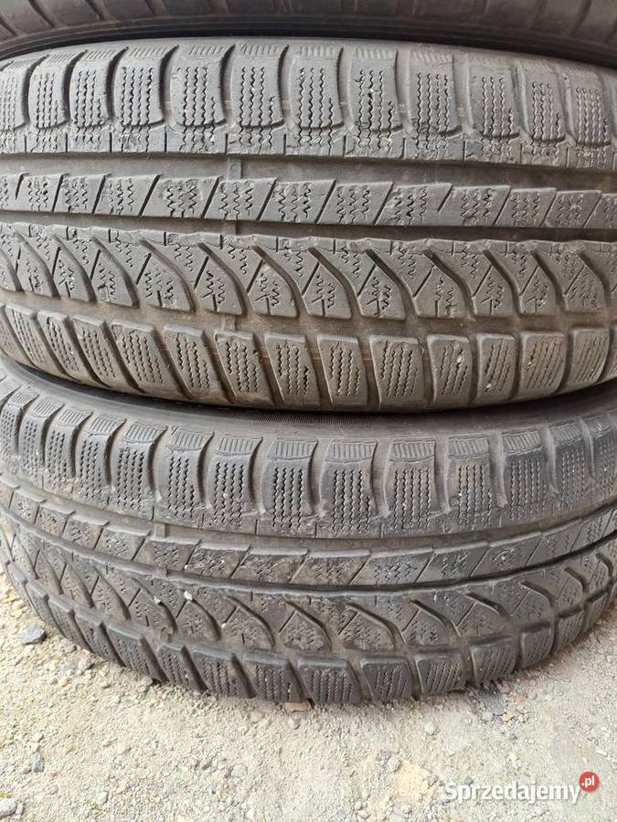 Opny 1856015 zima Dunlop lubuskie Podbrzezie Dolne