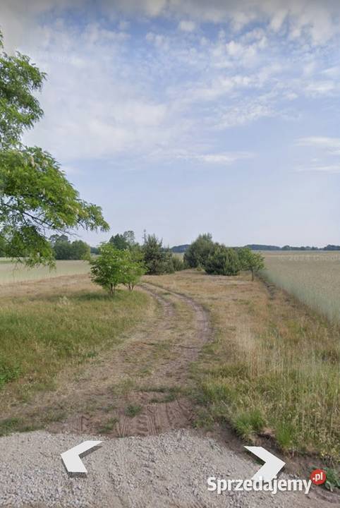DZIAŁKA ROLNO BUDOWLANA 13500m 121500 0zł/m2 Mrowiczna