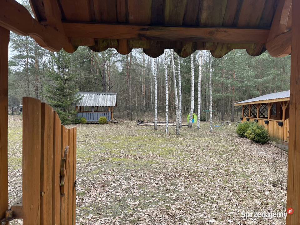Horodniany Leśny Zakątekdziałka budowlana 100m2 Sprzedaż
