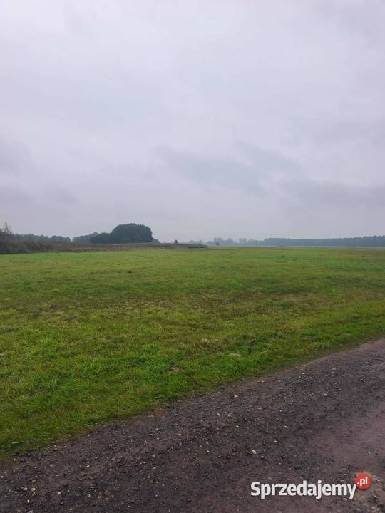 DWIE ŁĄKI W MIEJSCOWOŚCI LĄDEK GMINA LĄDEK Lądek