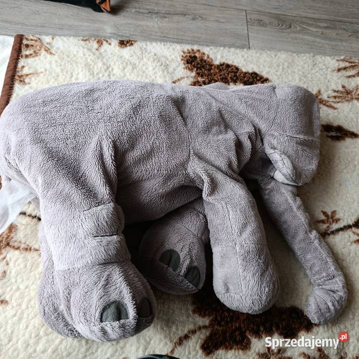 miś maskotka pluszak słoń Poznań