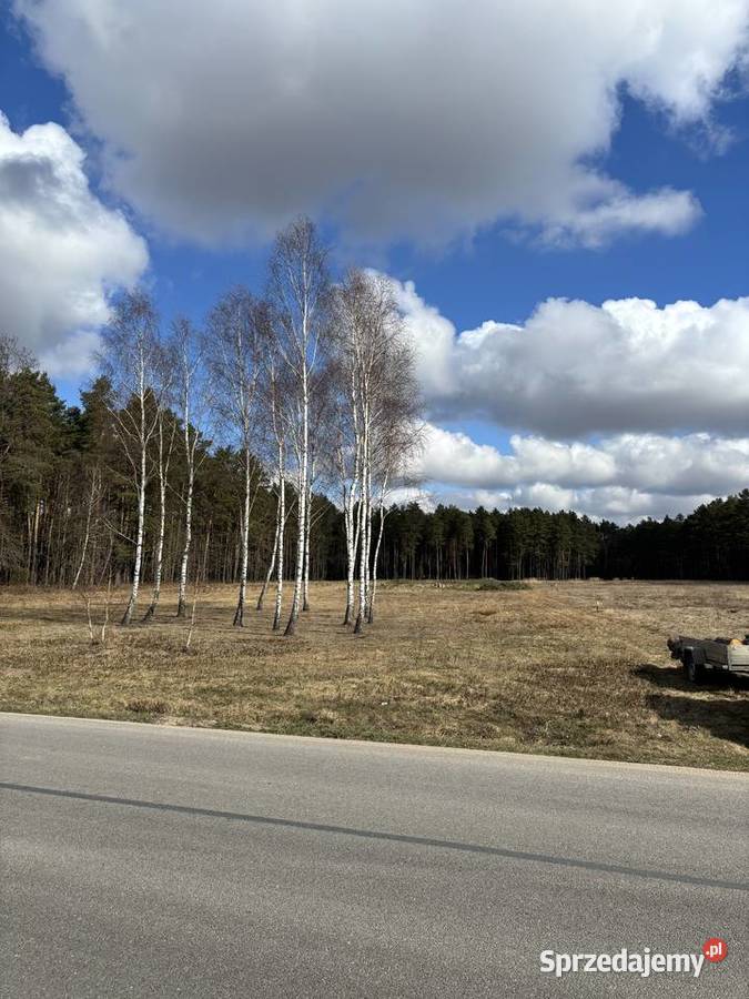 DZIAŁKA BUDOWLANA 1000 m ASFALT LAS SPOKOJNA Sprzedaż
