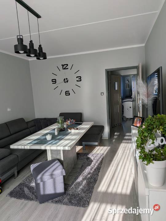 Sprzedam mieszkanie w Pogwizdów Liczba pokoi 2