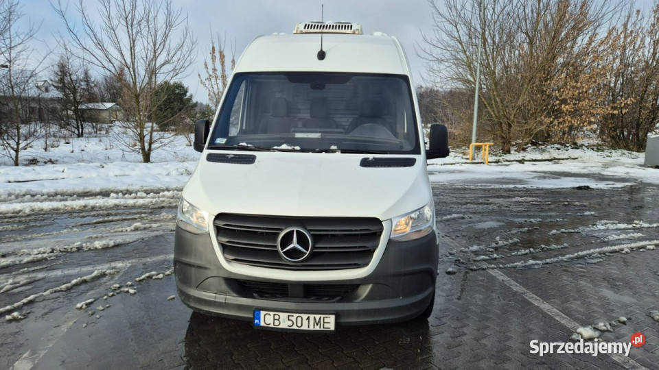 Mercedes Sprinter Chłodnia Polski Salon Mercedes-Benz Suchorzew