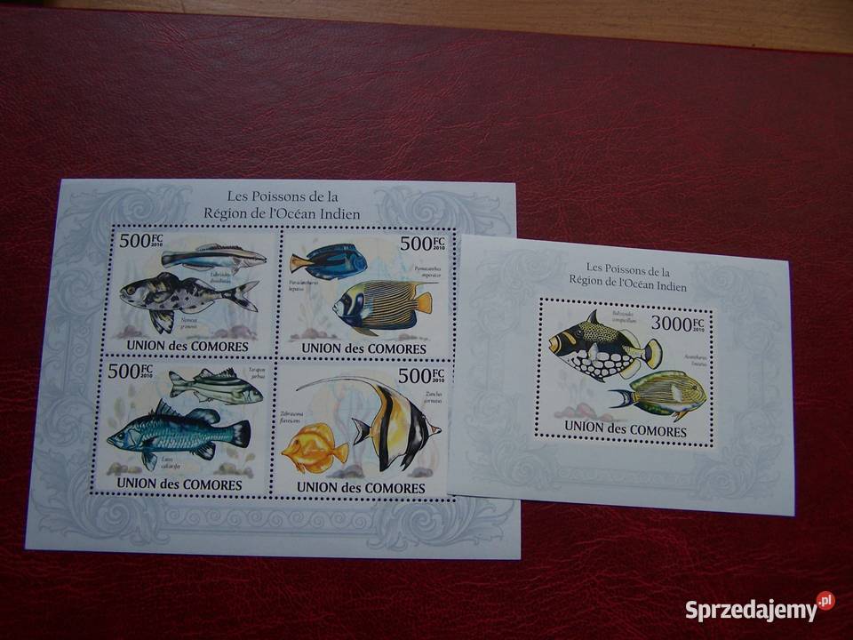Komory 2010 MNH Fauna Ryby Oceanu Indyjskiego Tychy