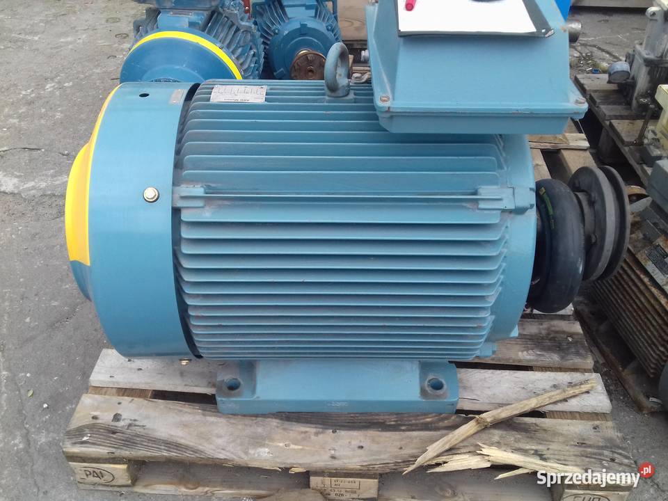 Silnik elektryczny 15kw 22kw 30kw 37kw 132kw Toruń