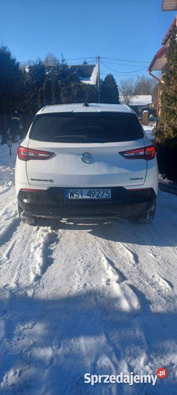 Opel Grandland X 2019 kamera cofania Grandland X Siedlce