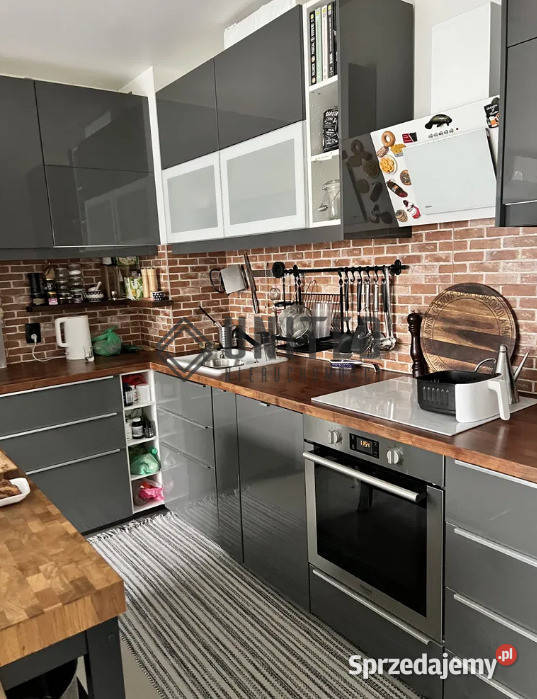 Beaty Artemskiej Wrocław