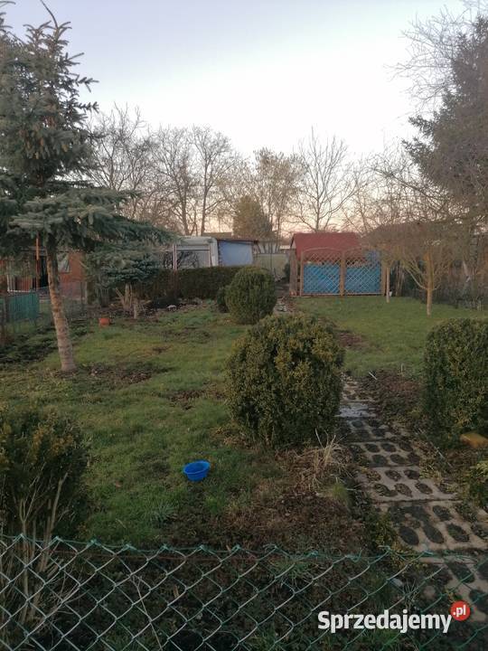 Działka rod wyspa pucka Szczecin