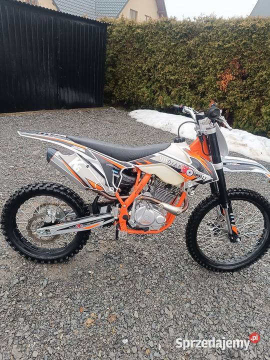 Diabolini k 5 250 Jabłonka