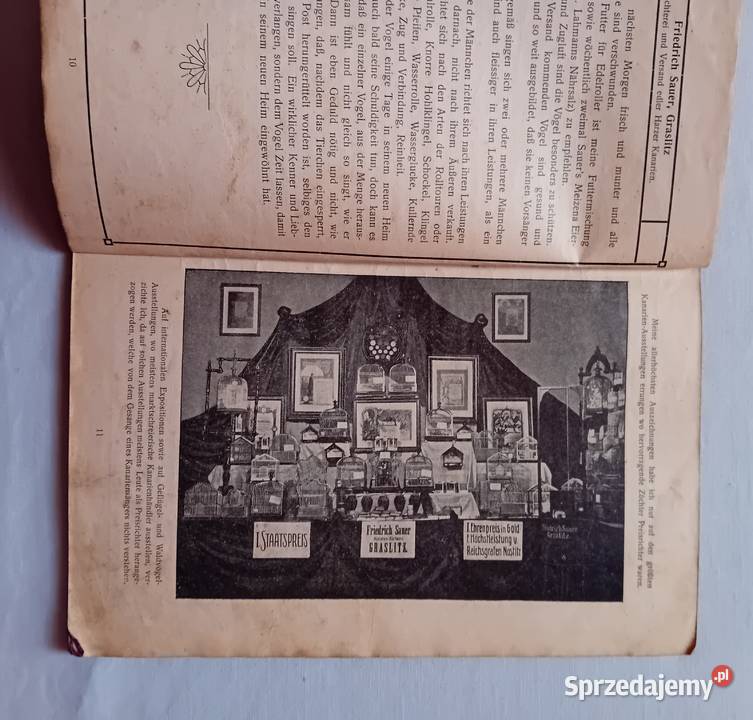 Katalog sprzedażowy kanarków harceńskich karmy Koźminek
