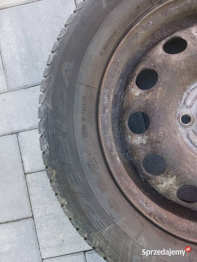 Opony WIELOSEZONOWE Dębica Navigator 3 17570 R14 Łochów