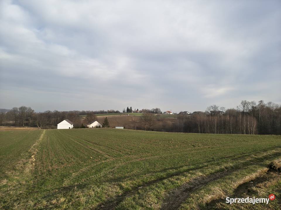 Działka rolna Sławkowice gm Biskupice 4500m2 małopolskie