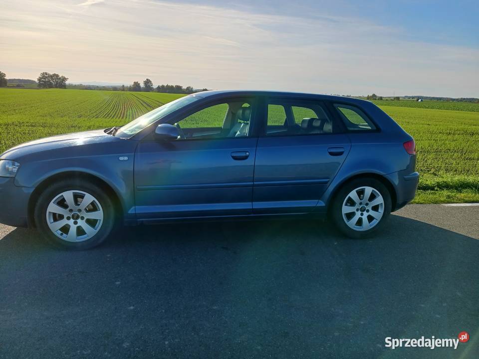 audi a3 8p sportdack Środa Śląska